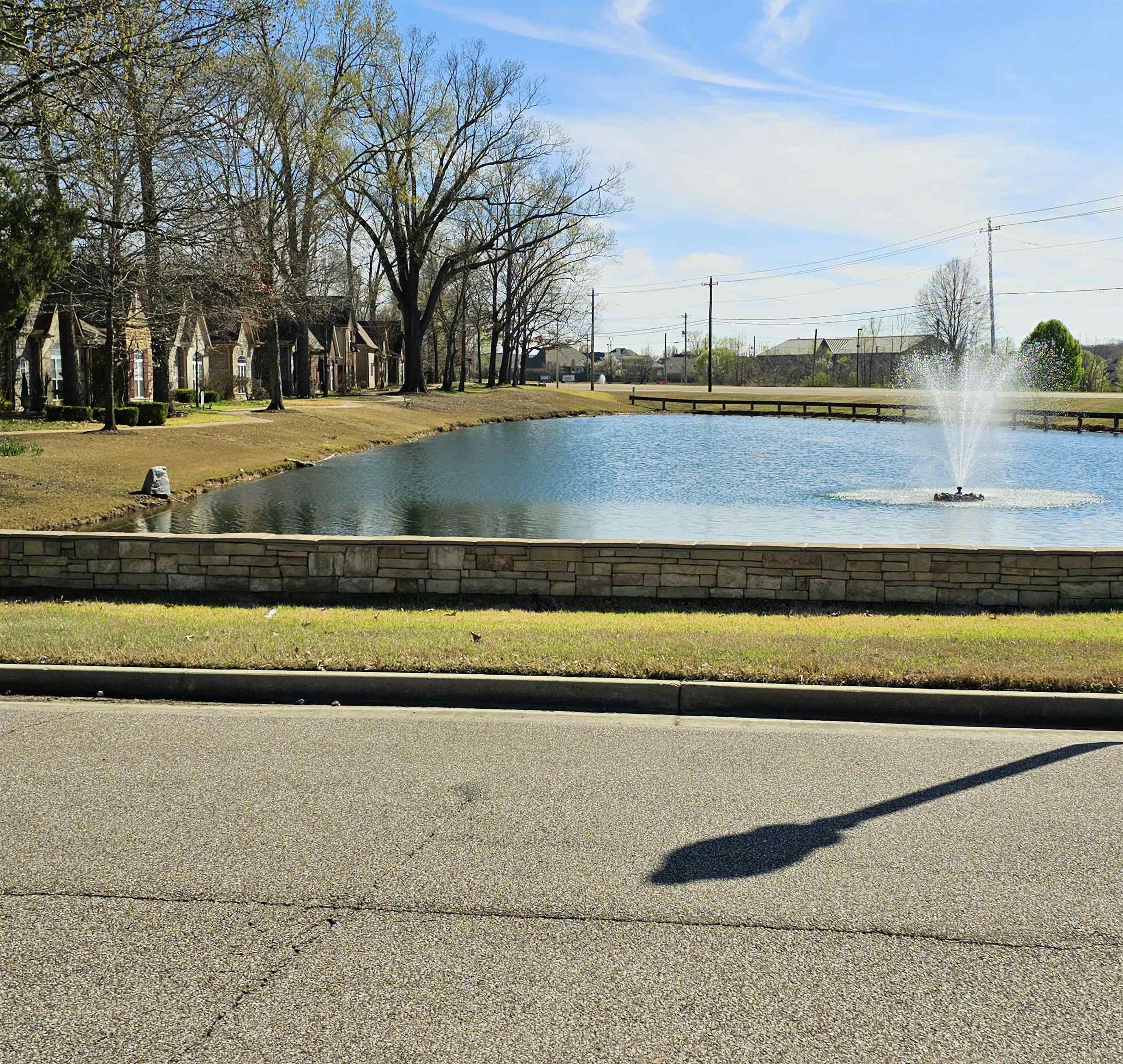 1832 North Houston Levee Road Cordova, TN 38016 - Photo 5 of 23 a view of swimming pool with an outdoor seating