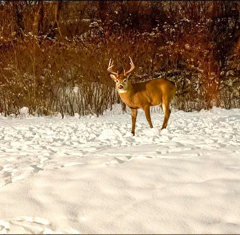 $224,900 | 262 Ba-Wood Lane, Unit 1, Janesville, WI 53545