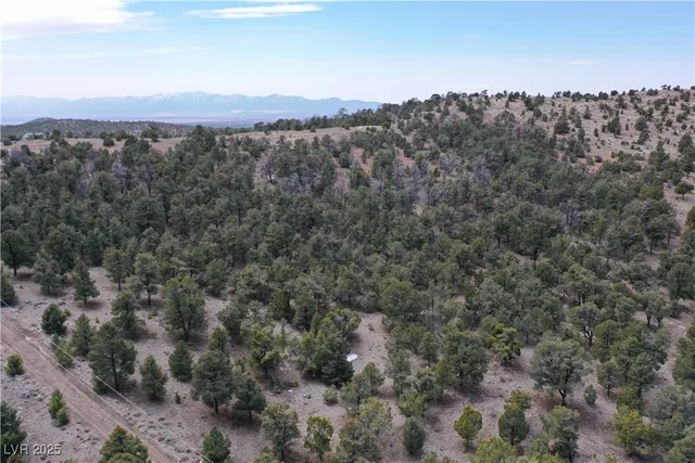$45,000 | 0 Pinion Pine Road, Pioche, NV 89043