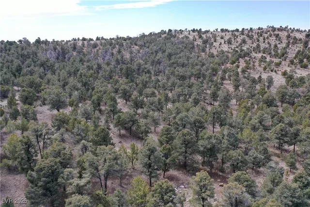 $45,000 | 0 Pinion Pine Road, Pioche, NV 89043