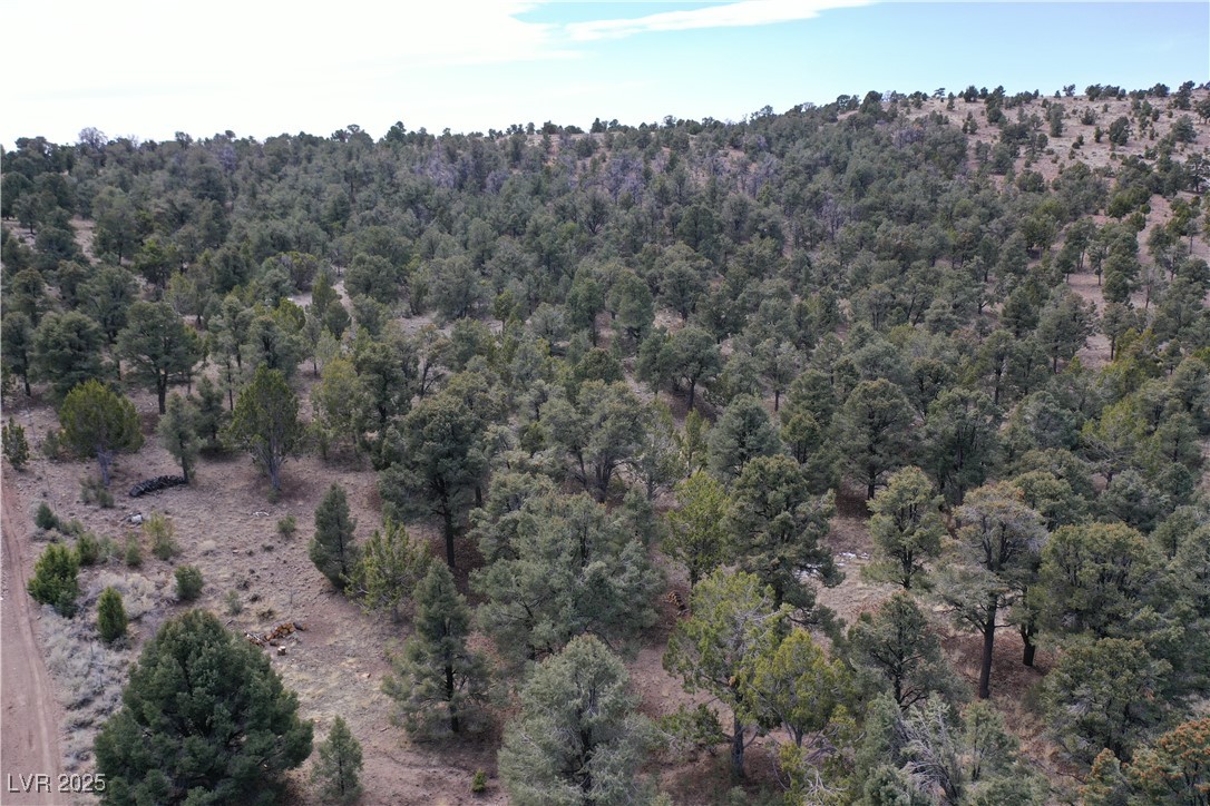 0 Pinion Pine Road Pioche, NV 89043 - Photo 3 of 8