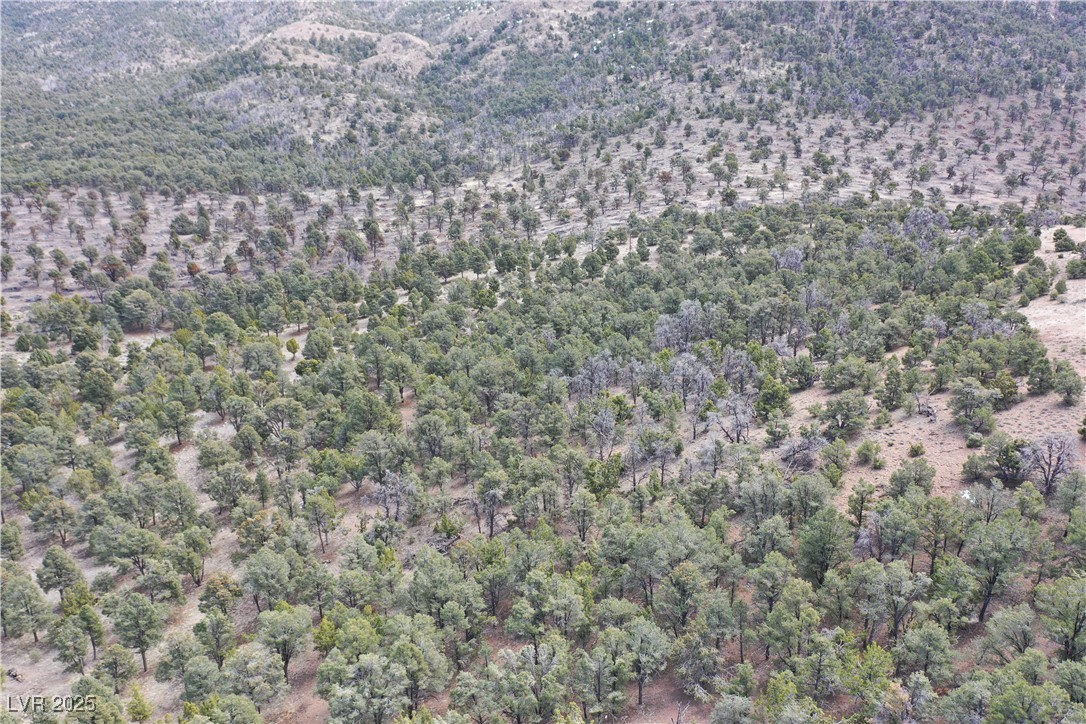 0 Pinion Pine Road Pioche, NV 89043 - Photo 4 of 8