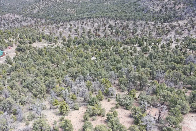 $45,000 | 0 Pinion Pine Road, Pioche, NV 89043