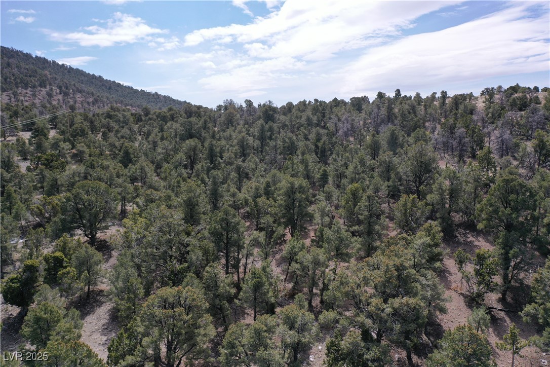 0 Pinion Pine Road Pioche, NV 89043 - Photo 6 of 8