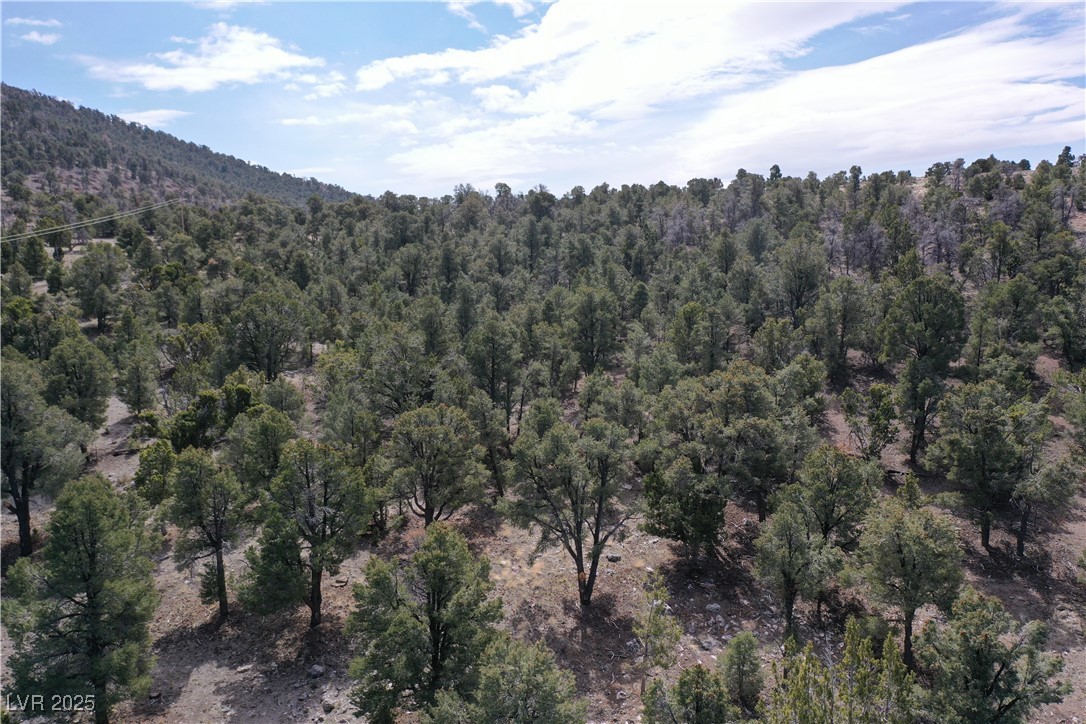 0 Pinion Pine Road Pioche, NV 89043 - Photo 7 of 8