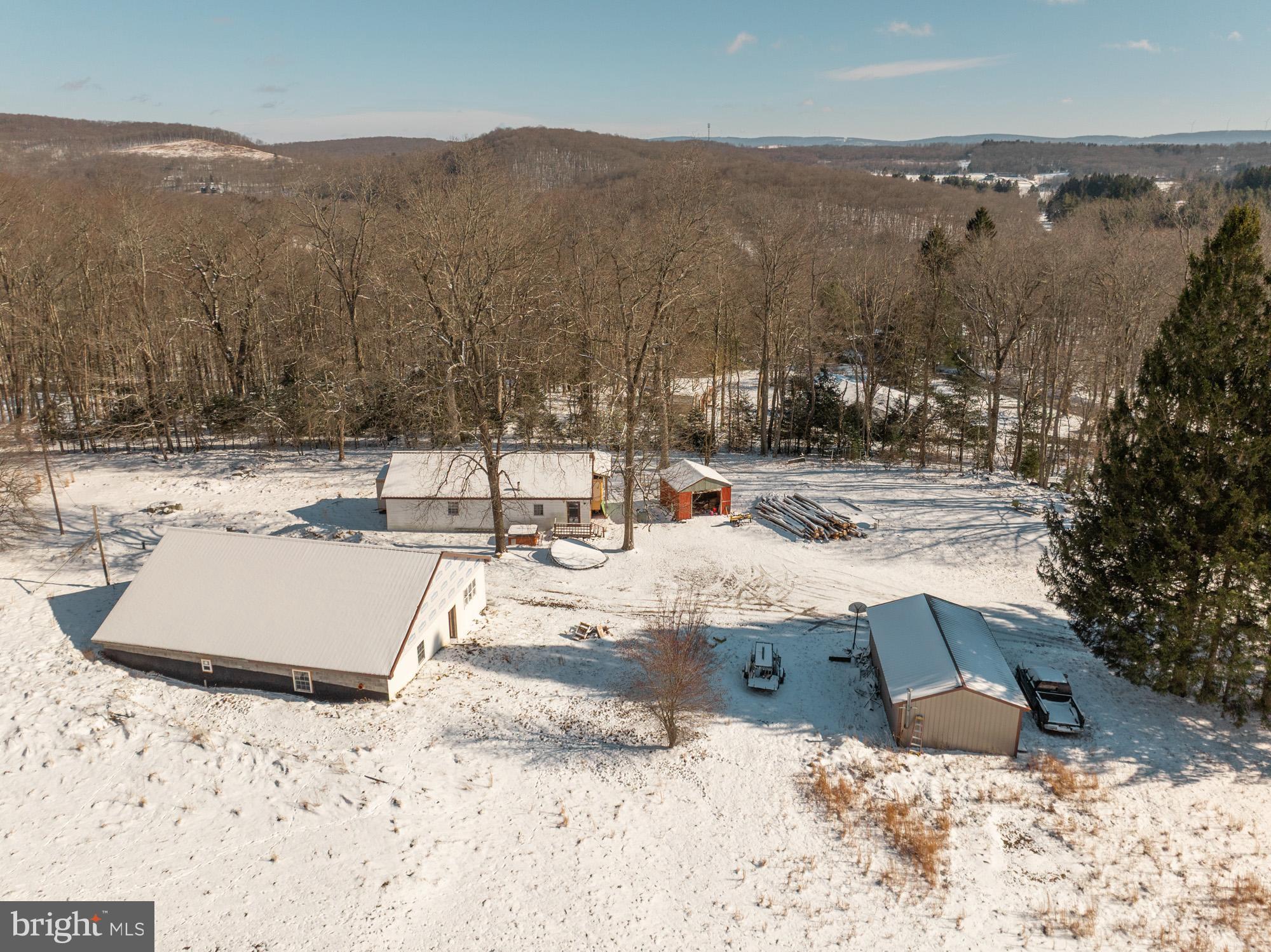 3395 Fingerboard Road Oakland, MD 21550 - Photo 7 of 20 a view of a dry yard with trees