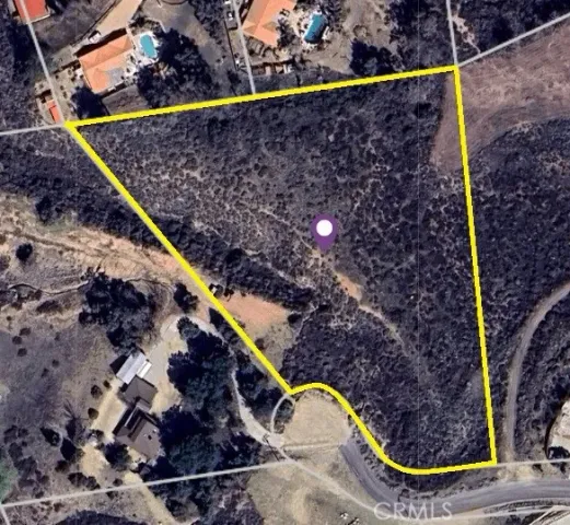 a view of swimming pool with a yard and potted plants