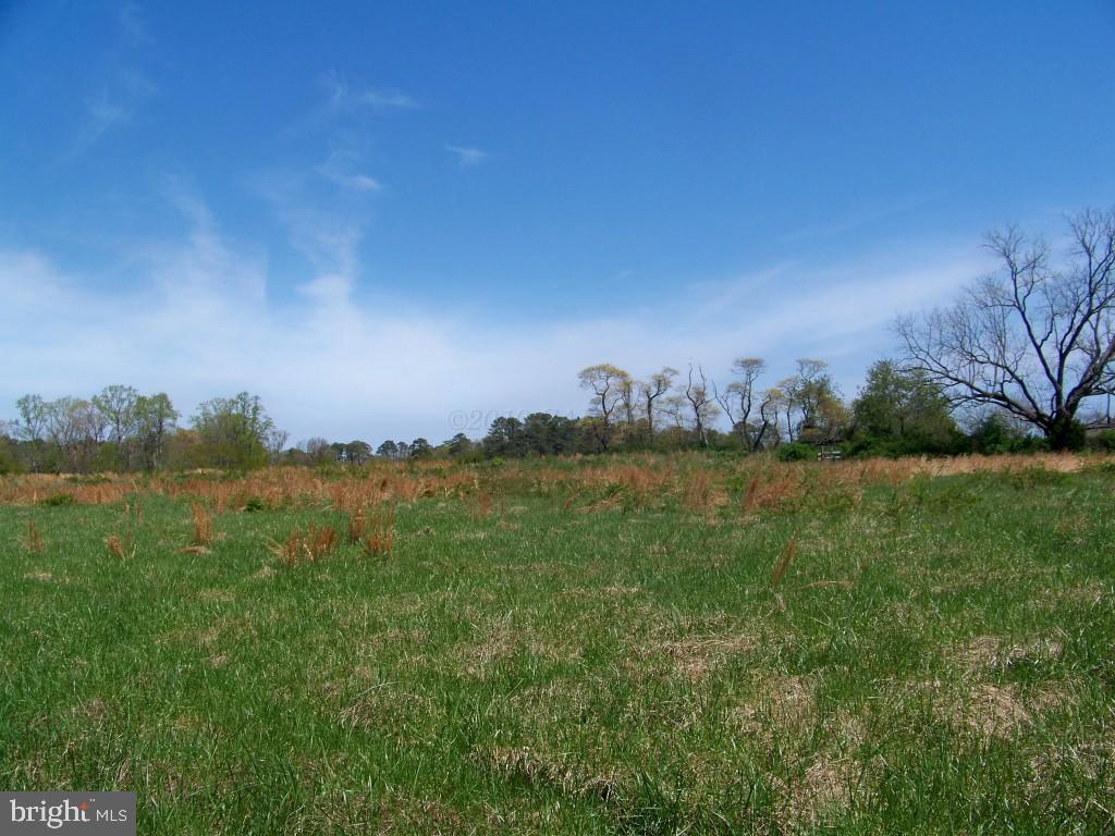 11101 Griffin Road Berlin, MD 21811 - Photo 1 of 3 Gallery Image 1