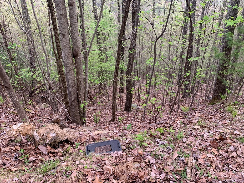 Ten Ten Pointe Trail Murphy, NC 28906 - Photo 2 of 8 Gallery Image 2
