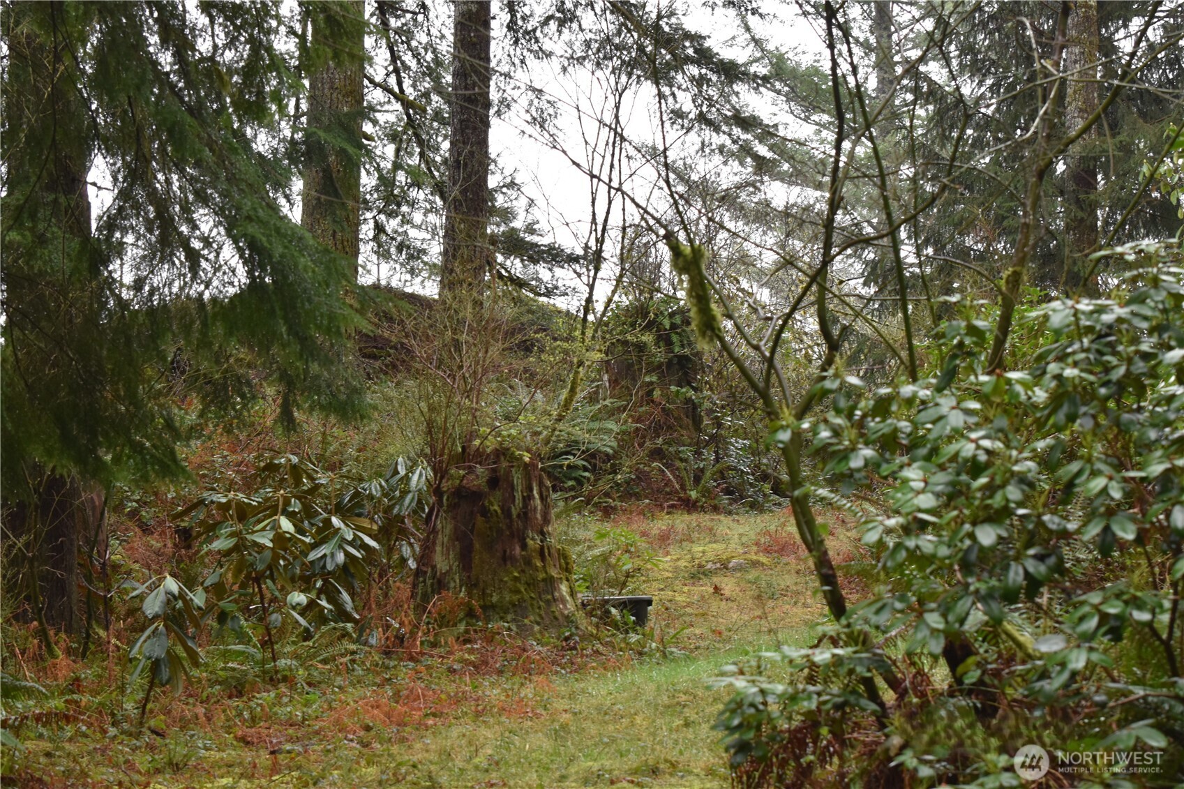 15327 May Creek Road Gold Bar, WA 98251 - Photo 29 of 35 a view of a yard with a tree