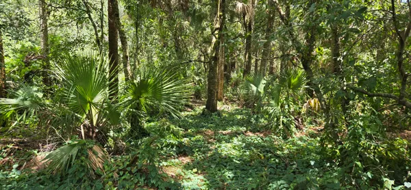 $989,500 | 100 Northwest 38th Avenue, Okeechobee, FL 34972