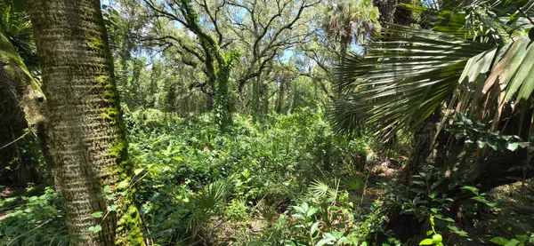 $989,500 | 100 Northwest 38th Avenue, Okeechobee, FL 34972