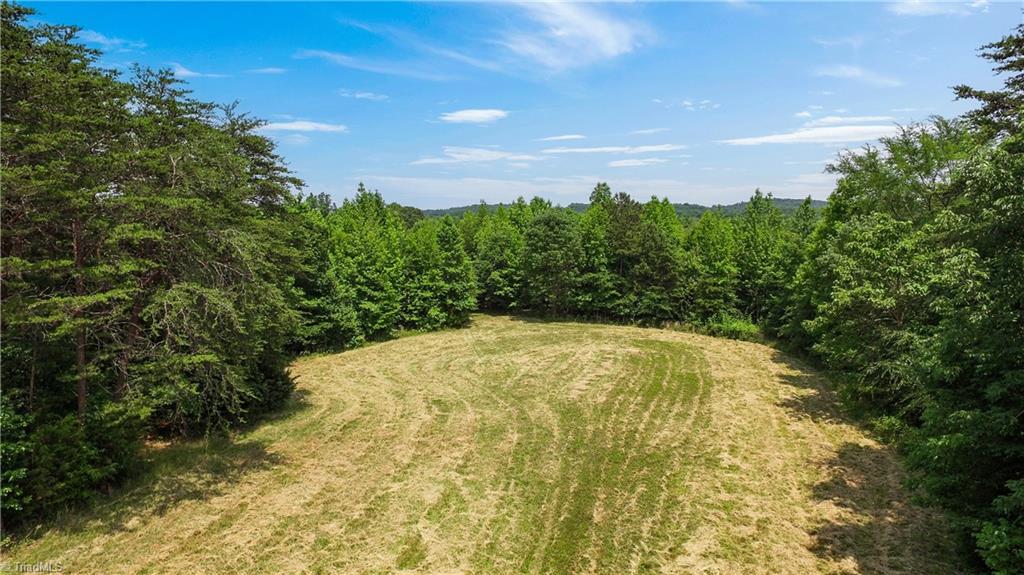 0 Walden Road Asheboro, NC 27205 - Photo 14 of 19 Gallery Image 14