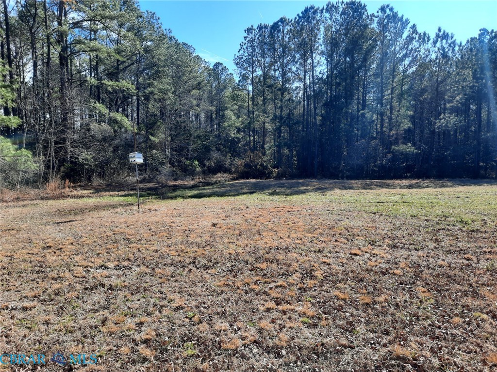 106 Kings Landing Road Onemo, VA 23130 - Photo 19 of 20