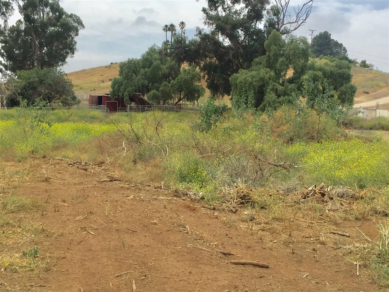 0 East Maxfield Road East Jamul, CA 91935 - Photo 4 of 6