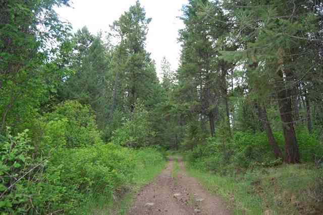 3237 Smola Road Chewelah, WA 99109 - Photo 1 of 9 Gallery Image 1