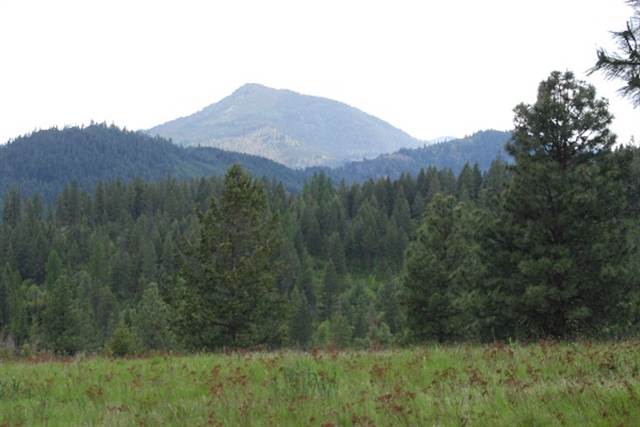3237 Smola Road Chewelah, WA 99109 - Photo 3 of 9 Gallery Image 3