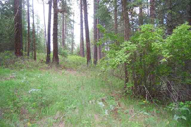 3237 Smola Road Chewelah, WA 99109 - Photo 4 of 9 Gallery Image 4