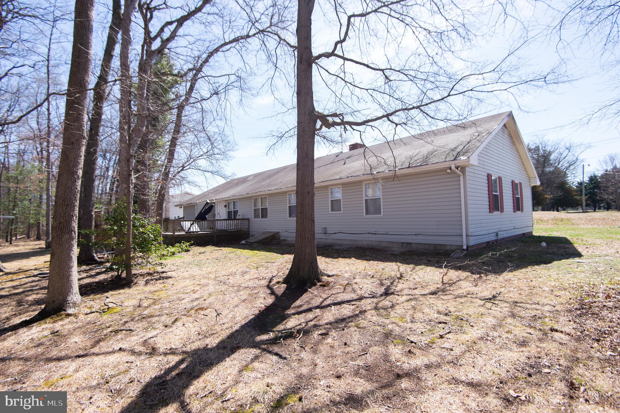 8061 Cannon Road Bridgeville, DE 19933 - Photo 39 of 49 rear