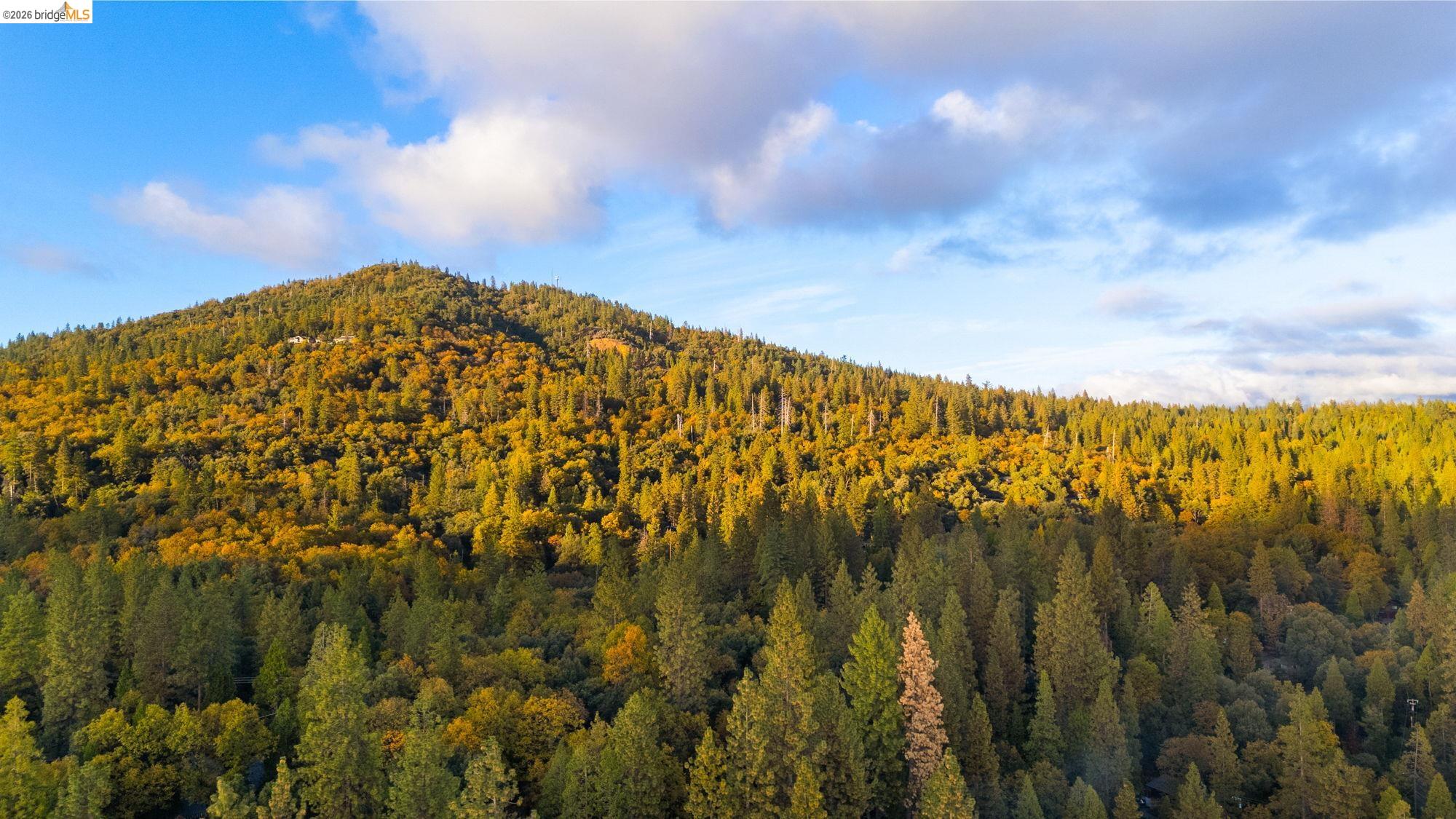 17851 Robin Road Twain Harte, CA 95383 - Photo 44 of 45 View of mountain background featuring a heavily wooded area