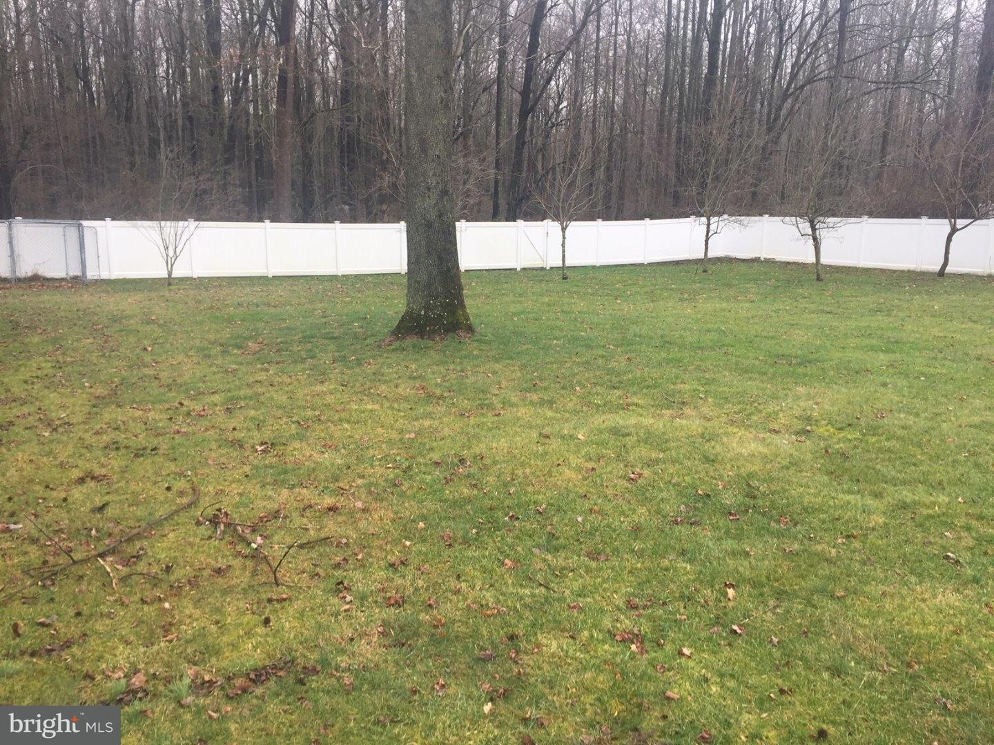150 Little Mill Road Clementon, NJ 08021 - Photo 9 of 10 Back Yard