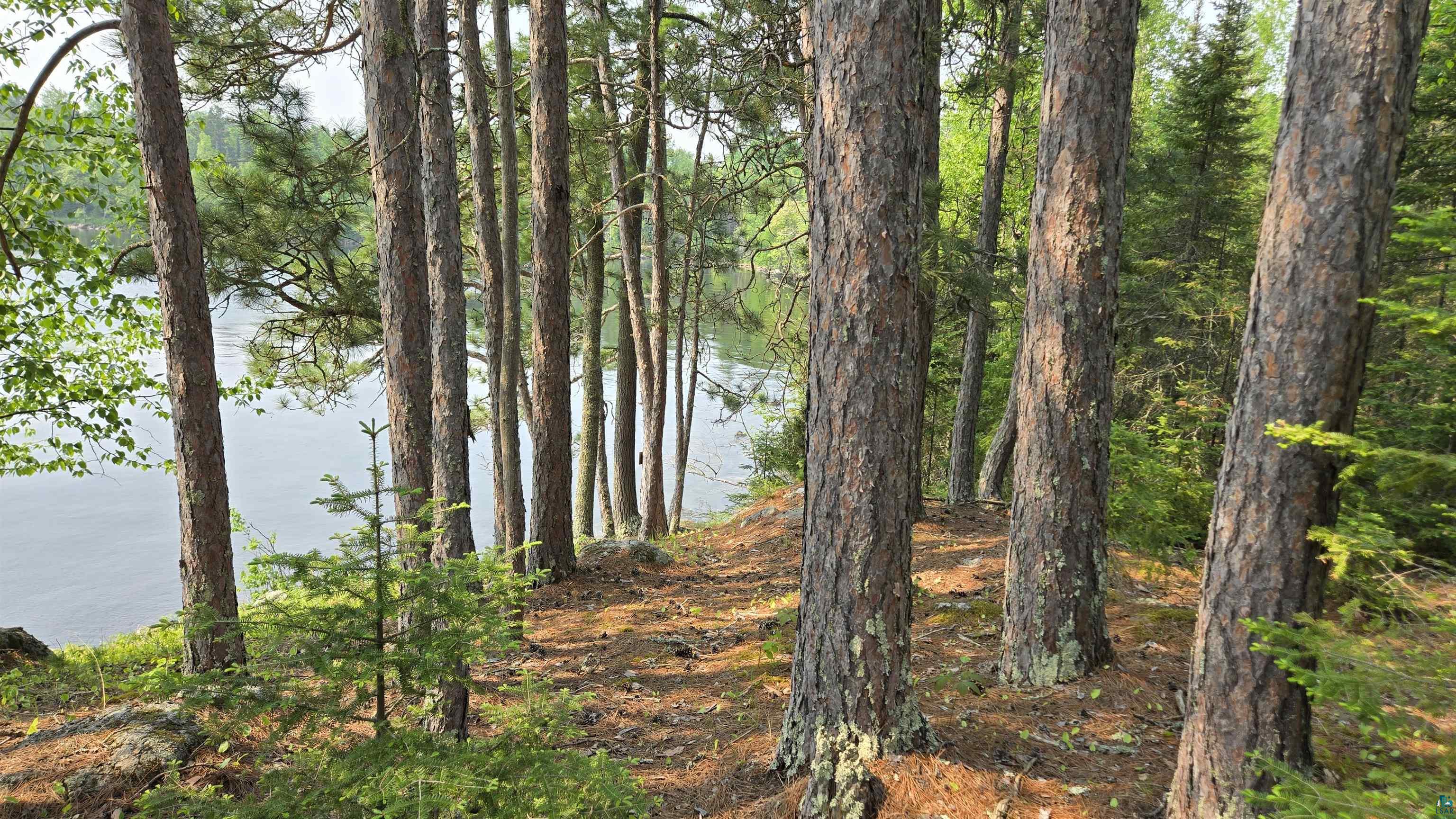 11.82 Bessette Road Orr, MN 55771 - Photo 22 of 44 Water view