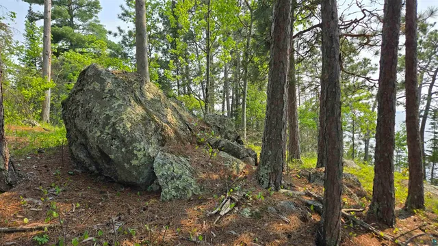 $499,000 | 11.82 Bessette Road, Orr, MN 55771