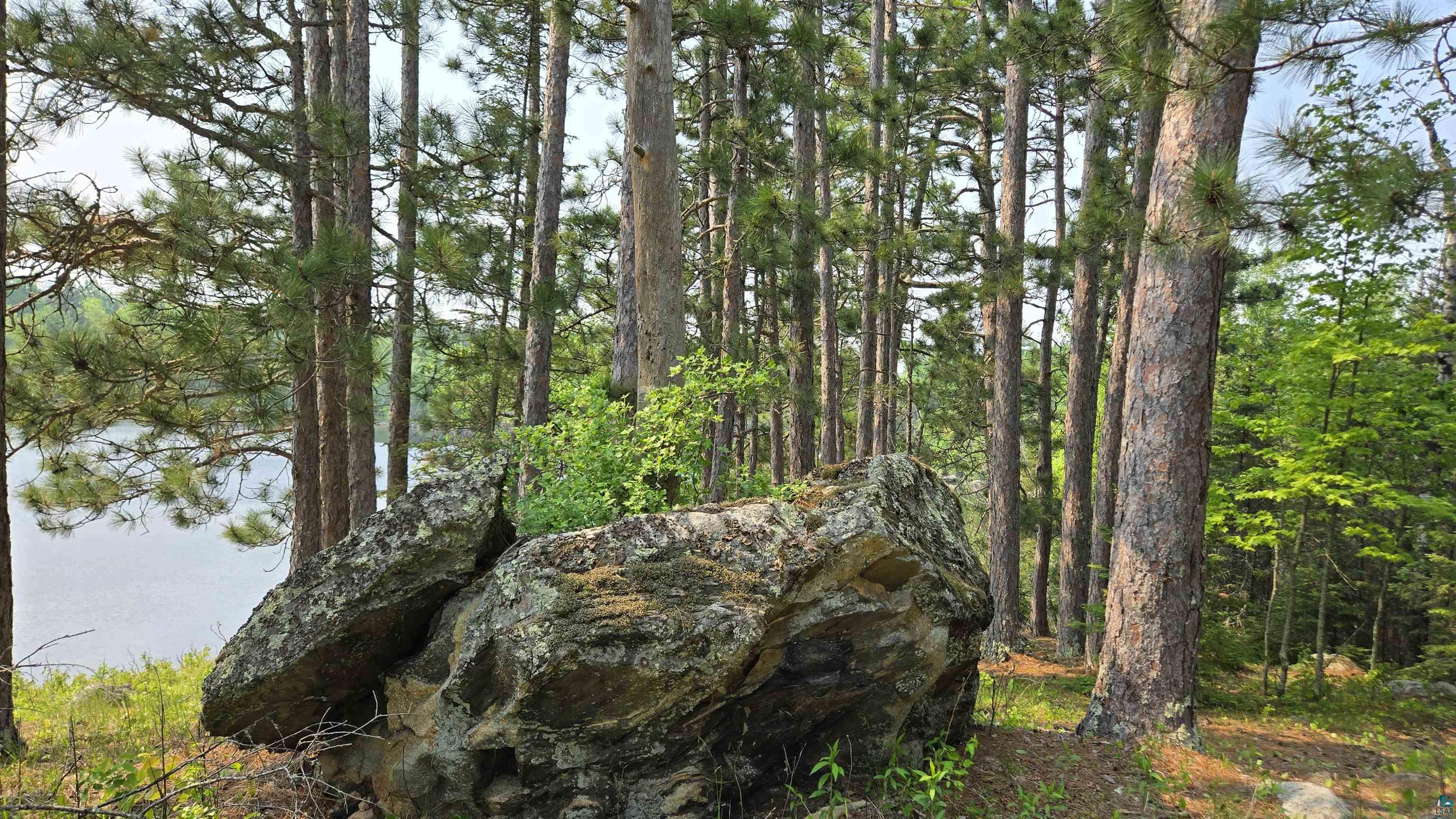 11.82 Bessette Road Orr, MN 55771 - Photo 30 of 44 View of woods