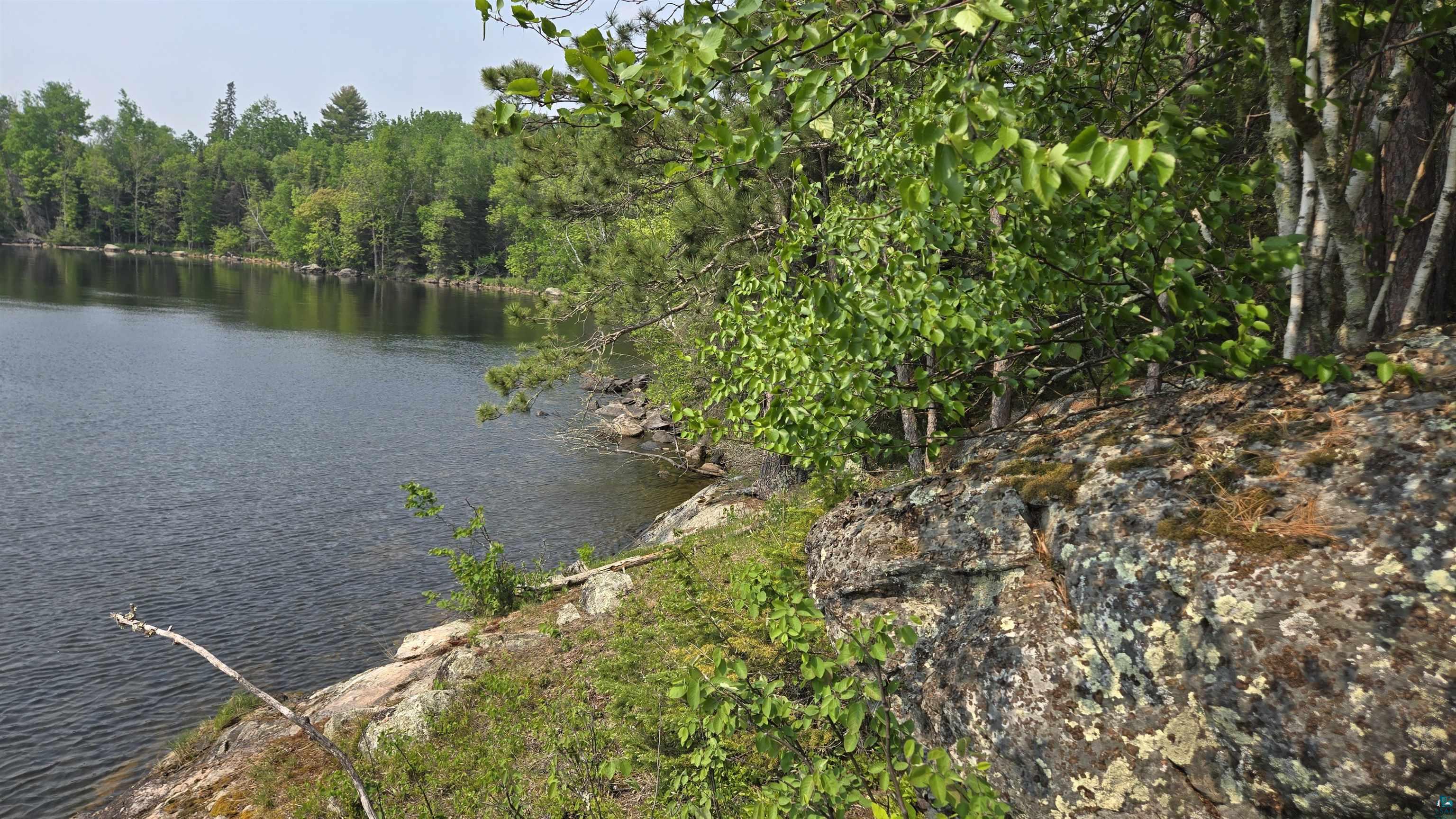 11.82 Bessette Road Orr, MN 55771 - Photo 31 of 44 Water view with a forest