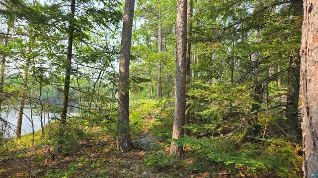 $499,000 | 11.82 Bessette Road, Orr, MN 55771