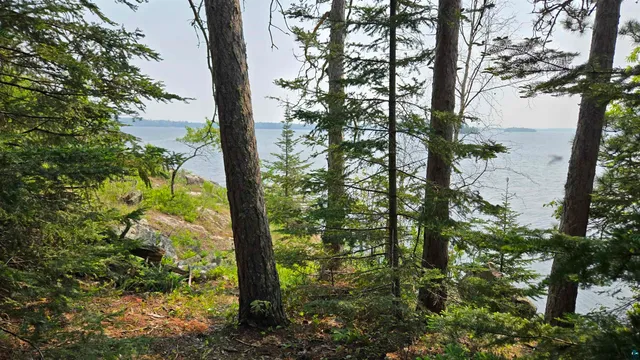 $499,000 | 11.82 Bessette Road, Orr, MN 55771