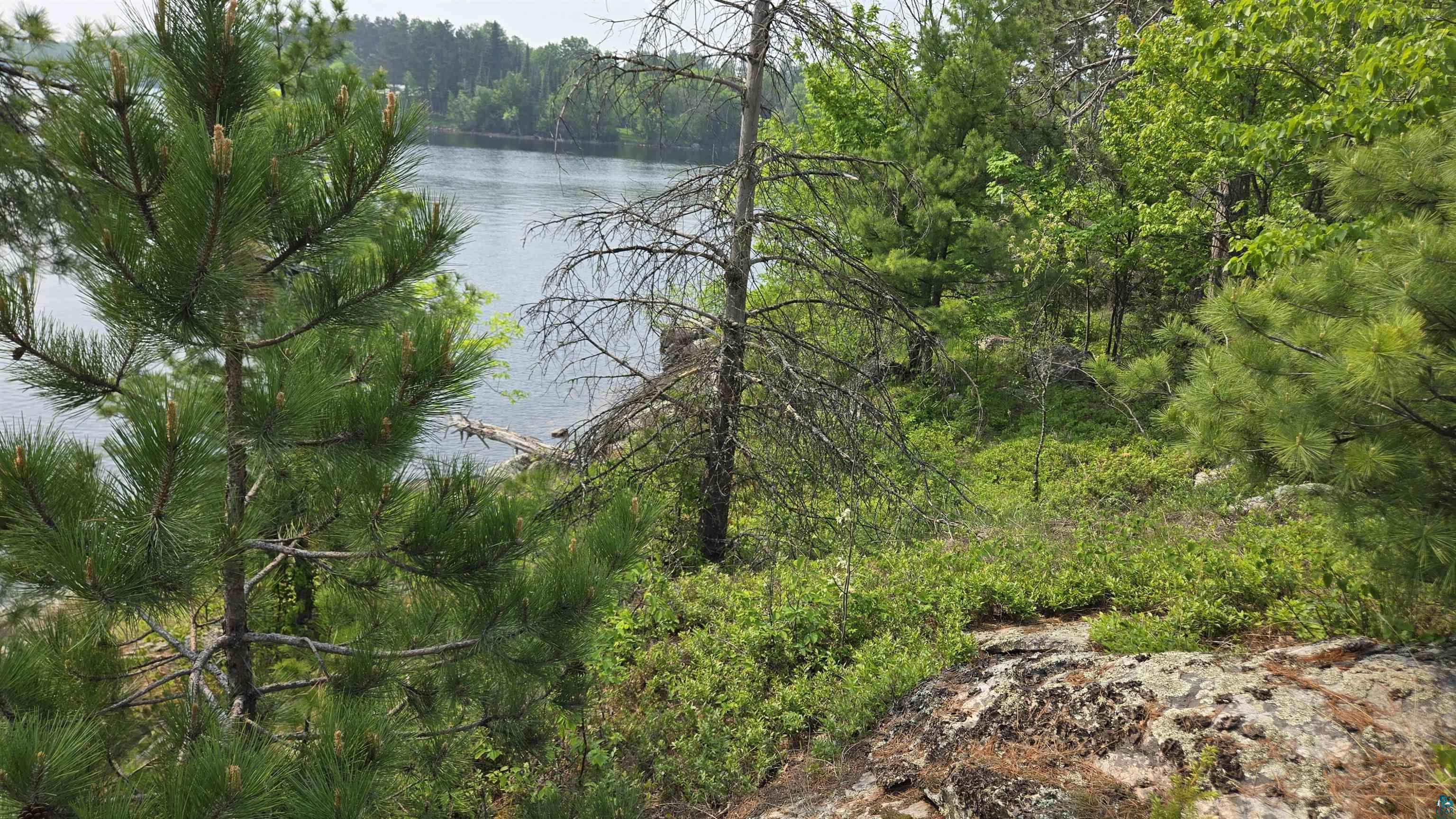 11.82 Bessette Road Orr, MN 55771 - Photo 36 of 44 Water view with a forest