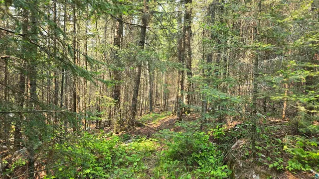 $499,000 | 11.82 Bessette Road, Orr, MN 55771