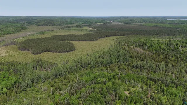 $499,000 | 11.82 Bessette Road, Orr, MN 55771