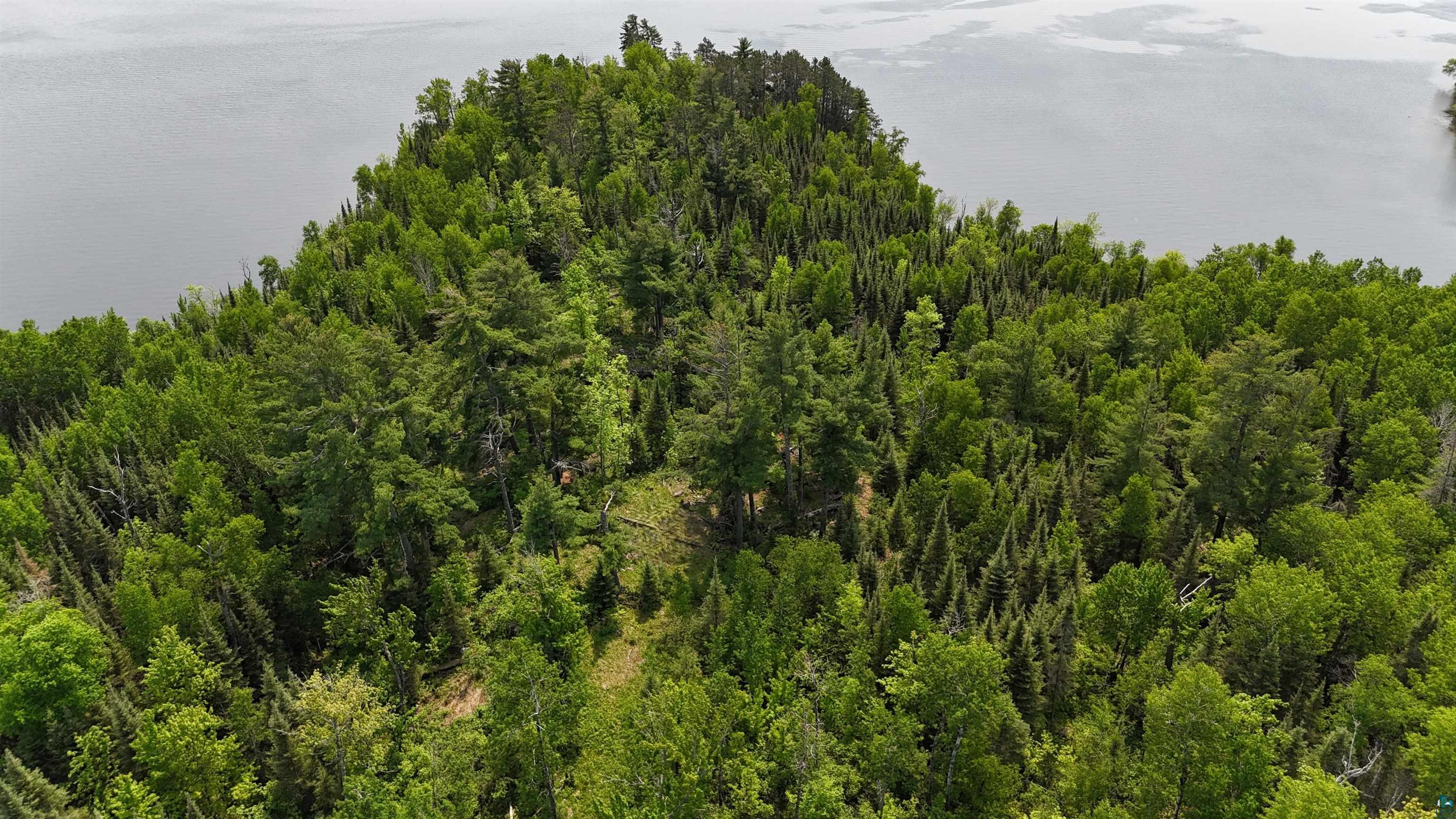 11.82 Bessette Road Orr, MN 55771 - Photo 6 of 44 Drone / aerial view of a heavily wooded area