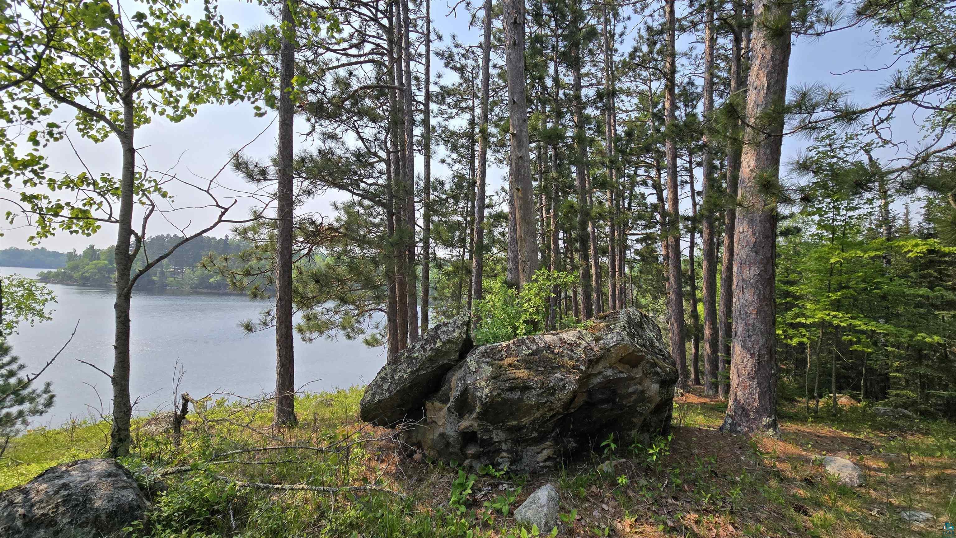 11.82 Bessette Road Orr, MN 55771 - Photo 7 of 44 Water view featuring a heavily wooded area