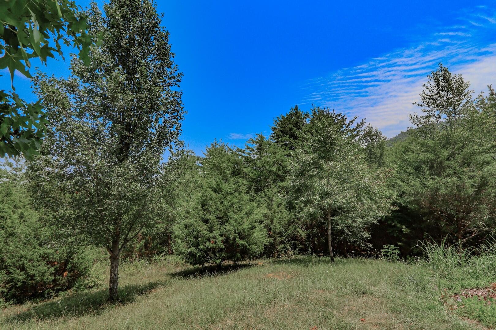 12 Dawning Road Newport, TN 37821 - Photo 27 of 28 Gallery Image 27