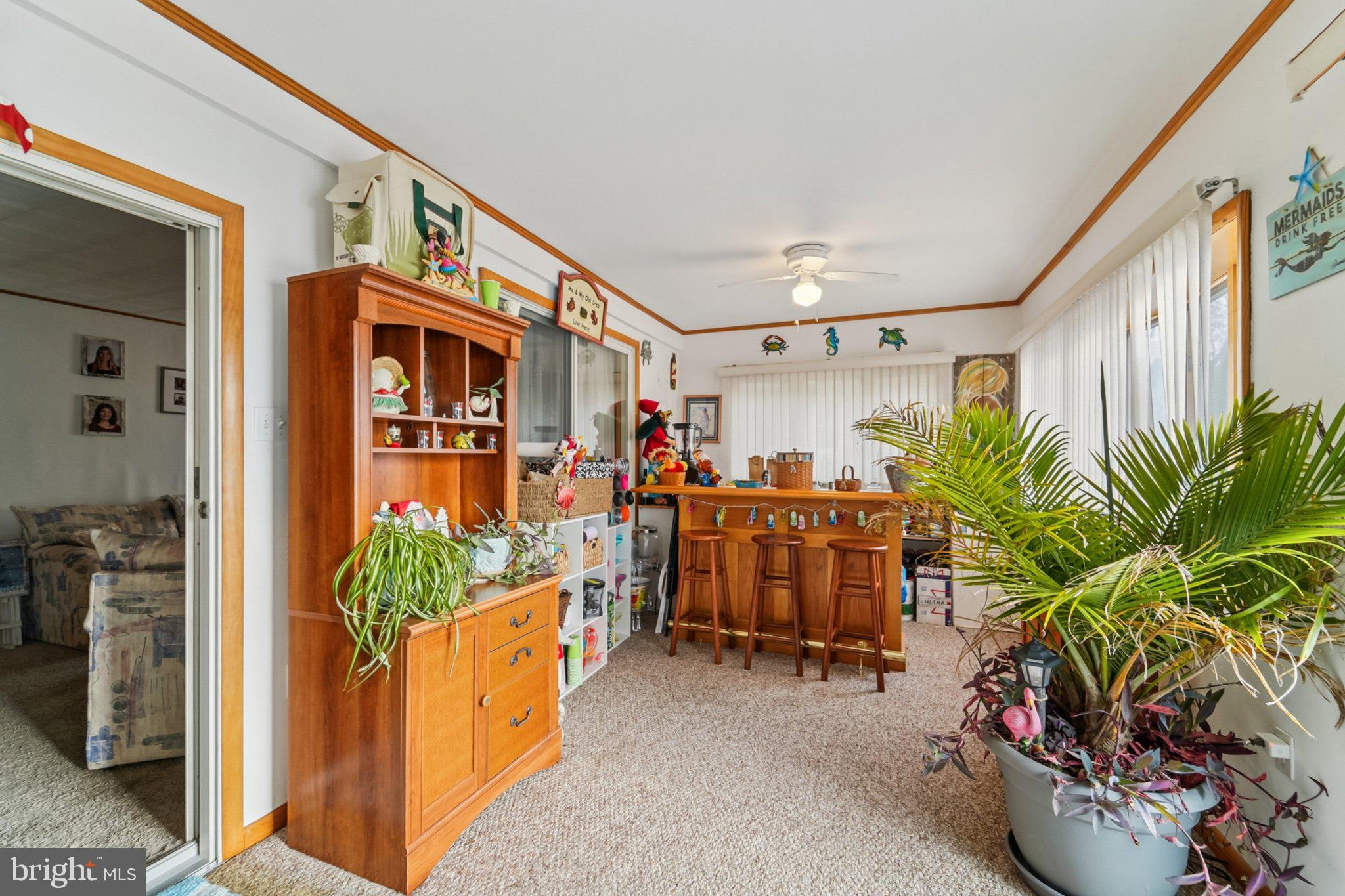 1507 Shore Road Baltimore, MD 21220 - Photo 44 of 46 a living room with furniture and a potted plant