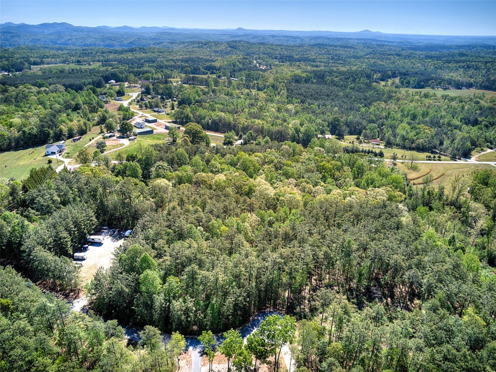 Lot E-31 Pine Ridge Way Salem, SC 29676 - Photo 13 of 16 Expansive acreage provides a picturesque panorama of lush forests and distant mountains.