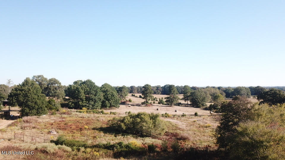 1 East E Highway Ripley, MS 38663 - Photo 1 of 1 Hwy 4 East 175 acres 8