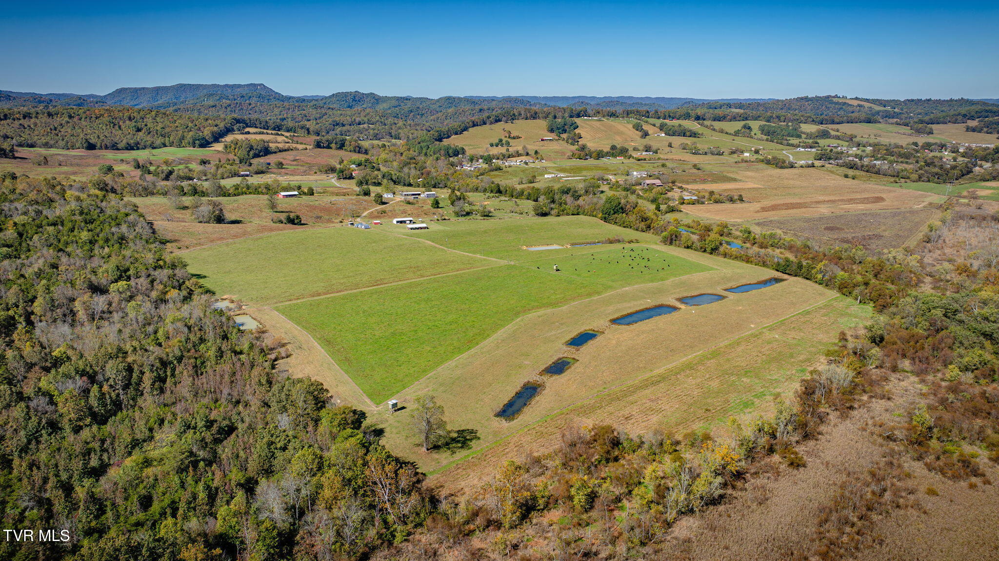 1746 McKinney Chapel Road Rogersville, TN 37857 - Photo 80 of 96 217