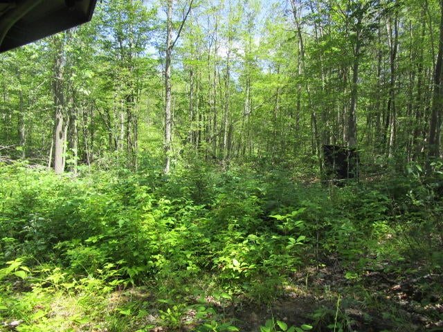 7720 Airport Road Vanderbilt, MI 49795 - Photo 55 of 62 Gallery Image 55