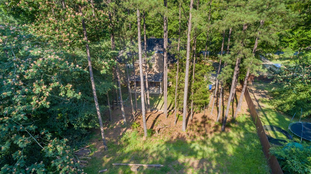 10230 Whitesville Road Fortson, GA 31808 - Photo 52 of 53 Natural backyard area up from home