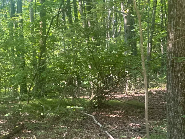 $14,000 | Lot#179 Mockingbird Circle, Farwell, MI 48622