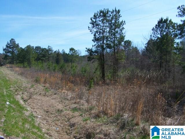 0 Mitchellville Road, Unit ACREAGE Lincoln, AL 35096 - Photo 8 of 19