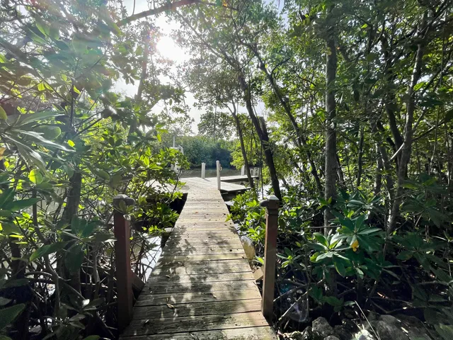 a view of a pathway both side of yard