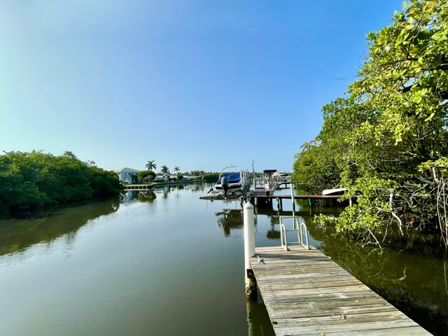 a view of a lake with boats and trees in the background