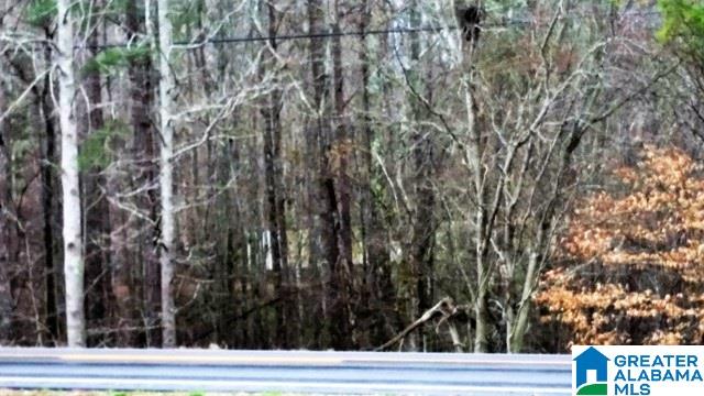 5489 Highway 9 Heflin, AL 36264 - Photo 43 of 50