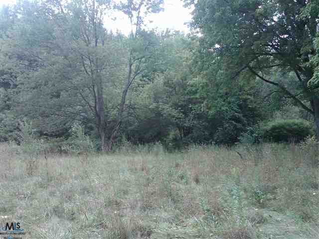 10924 Bryce Road Emmett, MI 48022 - Photo 2 of 5 This is another view of the property.