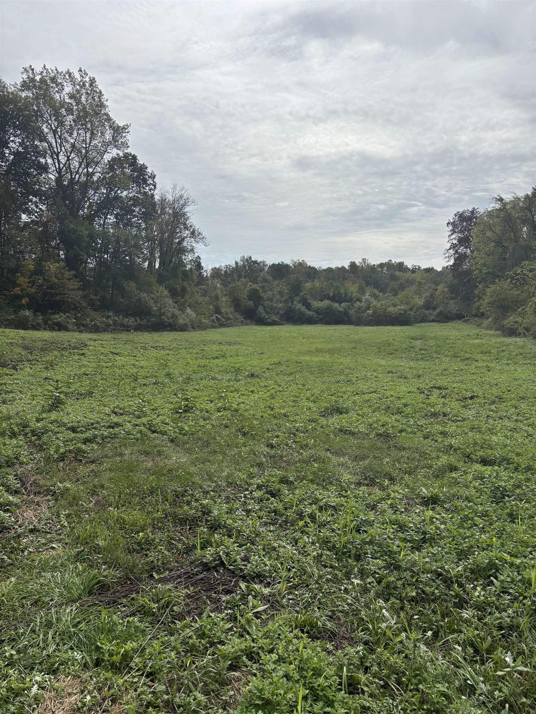 15 Swain Road Gilford, NH 03249 - Photo 20 of 22